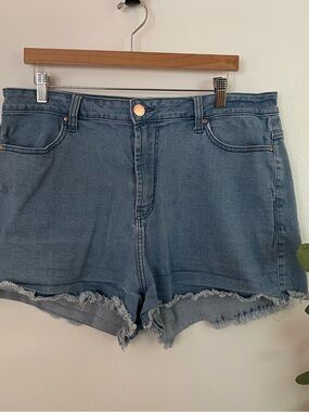Forever 21 Light Blue Frayed Hem Denim Shorts